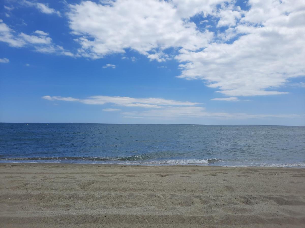 Appartement Vue Mer, Acces Direct Plage, Parking Privatif Le Barcarès Kültér fotó